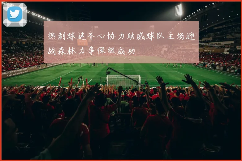 热刺球迷齐心协力助威球队主场迎战森林力争保级成功