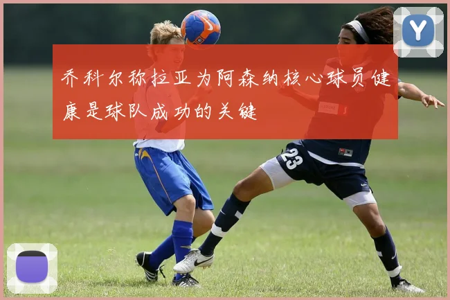 乔科尔称拉亚为阿森纳核心球员健康是球队成功的关键